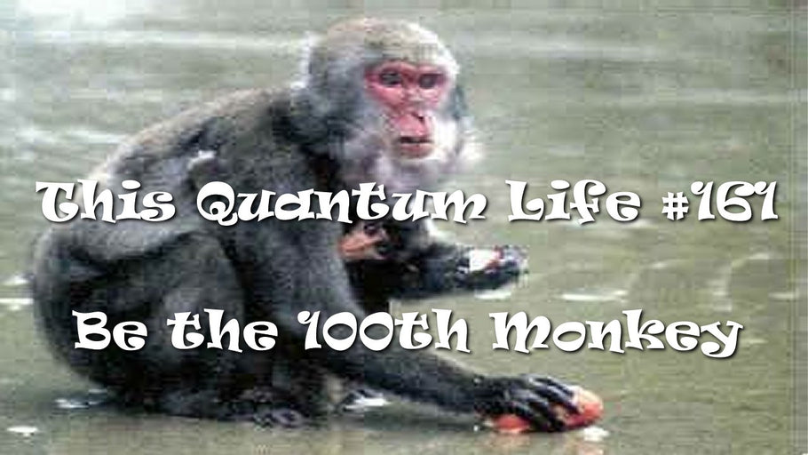 This Quantum Life #161 - Be The Hundredth Monkey
