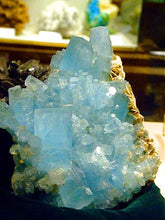 Trinity Gem Elixir - Aquamarine (1 oz.)