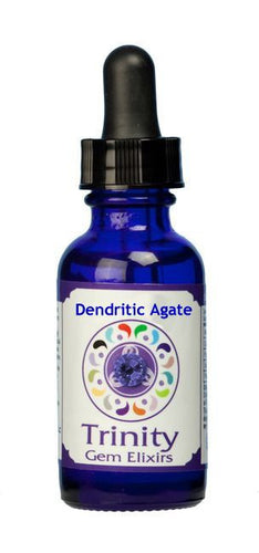 Trinity Gem Elixir - Dendritic Agate (1 oz.)