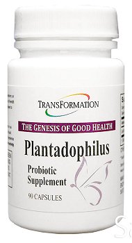 Plantadophilus Probiotic from Transformation Enzymes (90 caps)