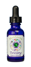 Trinity Gem Elixir - Moldavite (1 oz.)